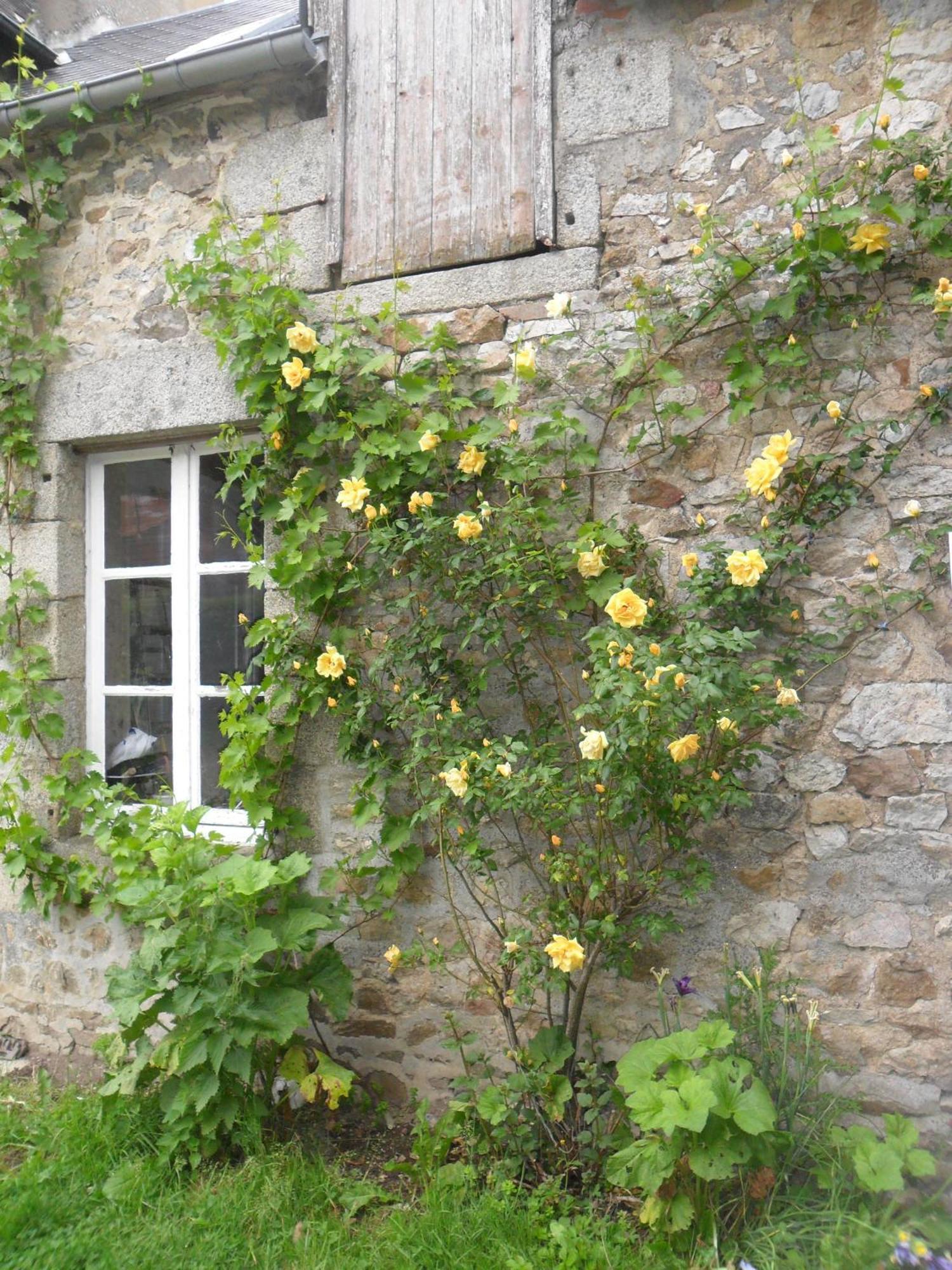 Les Hautes Loignieres Hotel Pre-en-Pail-Saint-Samson Exterior foto